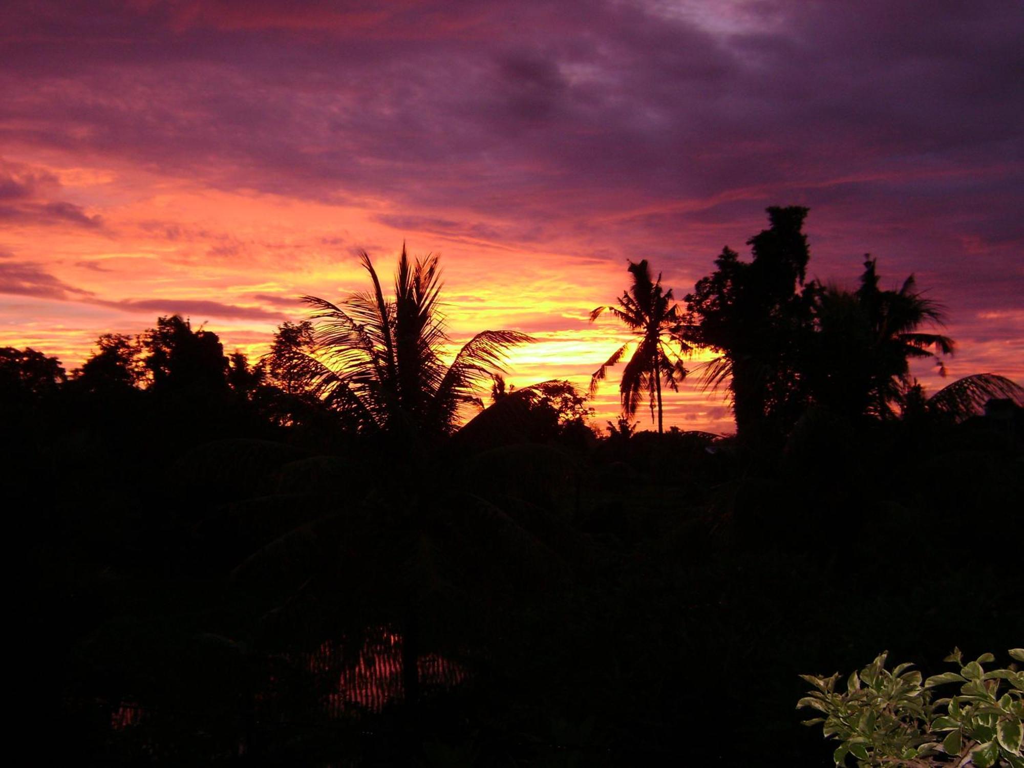 Kun - Kun Ubud